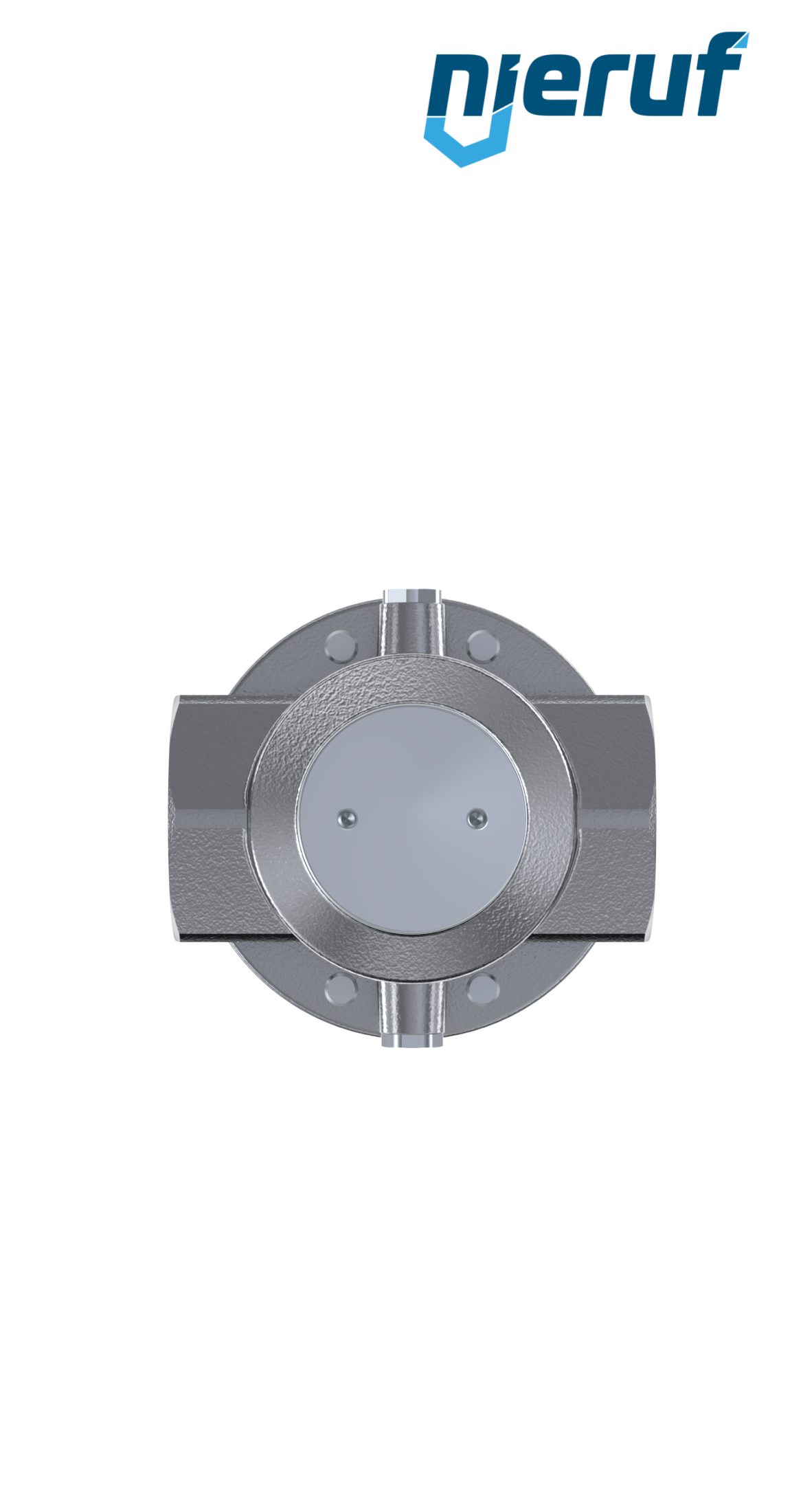 régulateur de pression de précision 1 1/2" pouce DM15 acier inoxydable EPDM 10.0 - 50.0 bar