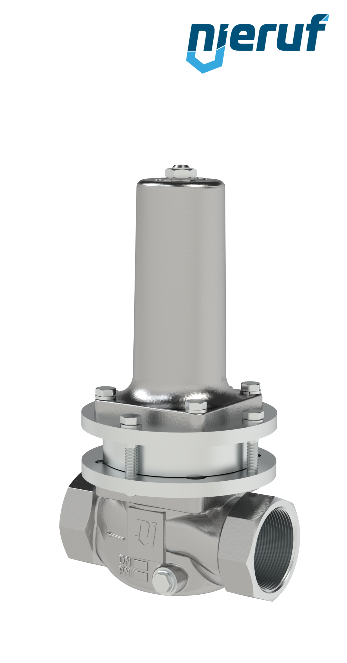 Niederdruck-Dampfdruckminderer 2" Zoll NPT DM21 Edelstahl PTFE / EPDM / FEPM 0,3 - 2,0 bar