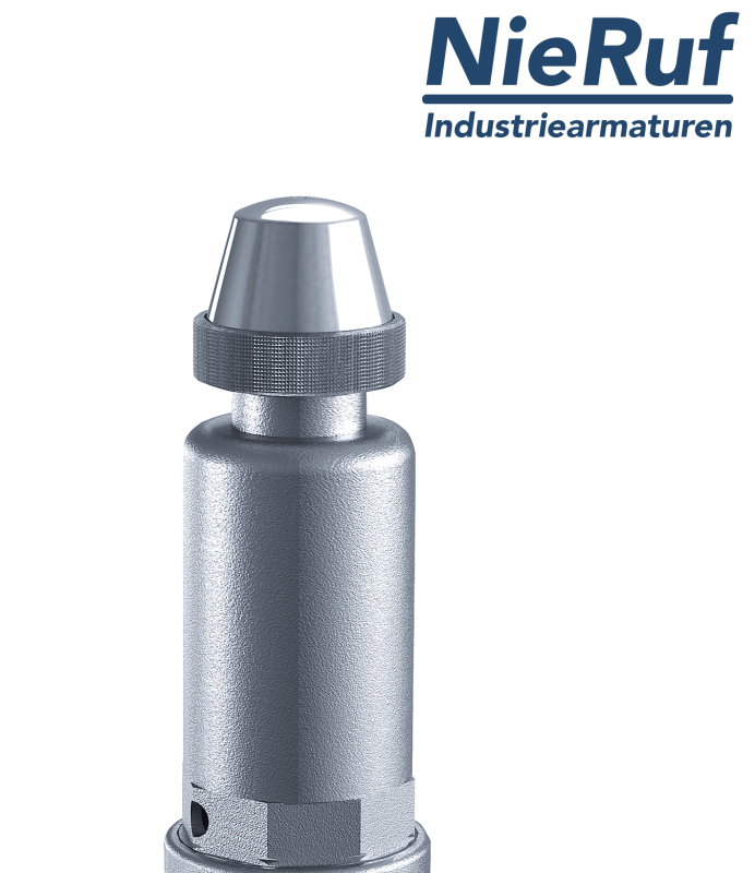 Sicherheitsventil 1/2" x 1" IG SV05 neutrale flüssige Medien, Edelstahl NBR