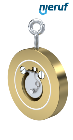 Zwischenflansch-Rückschlagklappe mit Feder DN32 ZR10 Alubronze 2.0975 PTFE