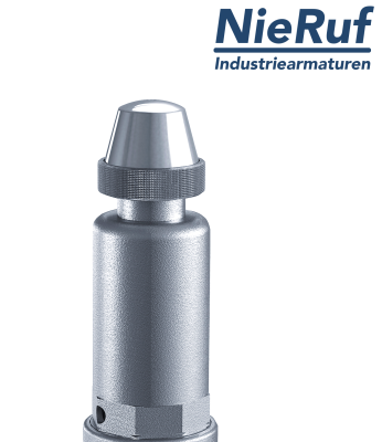 Sicherheitsventil 2" x 2" IG SV09 neutrale gasförmige Medien, Edelstahl PTFE