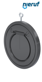Zwischenflansch-Rückschlagklappe DN125 ZR05 Kunststoff PVC-U FKM (Viton)