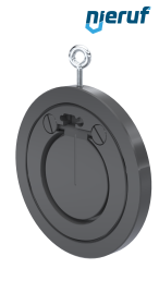 Zwischenflansch-Rückschlagklappe DN80 ZR05 Kunststoff PVC-U FKM (Viton)