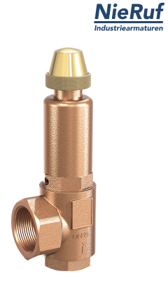 safety valve 2" x 2" fm SV08 gaseous media, gunmetal EPDM
