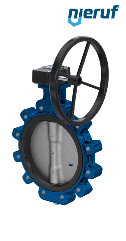 Absperrklappe AK02 DN 250 PN10 DVGW-Gas Schneckenradgetriebe