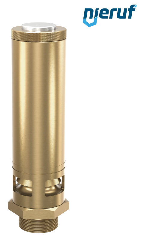 Sicherheitsventil 1 1/2" AG SV01 für Druckluft PTFE Messing