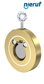 Zwischenflansch-Rückschlagklappe DN32 ZR09 Alubronze 2.0975 PTFE