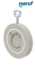 Zwischenflansch-Rückschlagklappe DN32 ZR06 Kunststoff PP-H PTFE