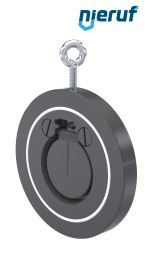 Zwischenflansch-Rückschlagklappe DN50 ZR05 Kunststoff PVC-U PTFE