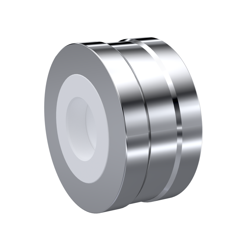 PTFE-Rückschlagventil DN25 - 1" Zoll ANSI B 16.5 CL 150